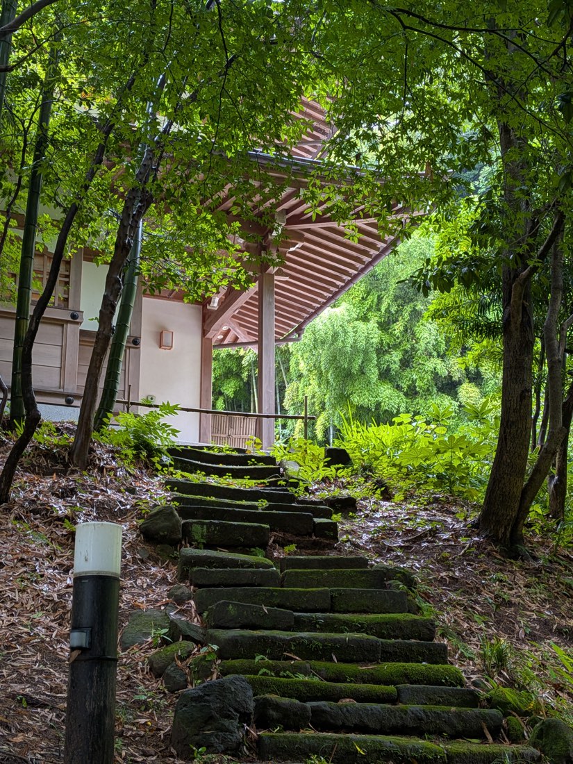 Mossy stone steps in Kita-Kamakura